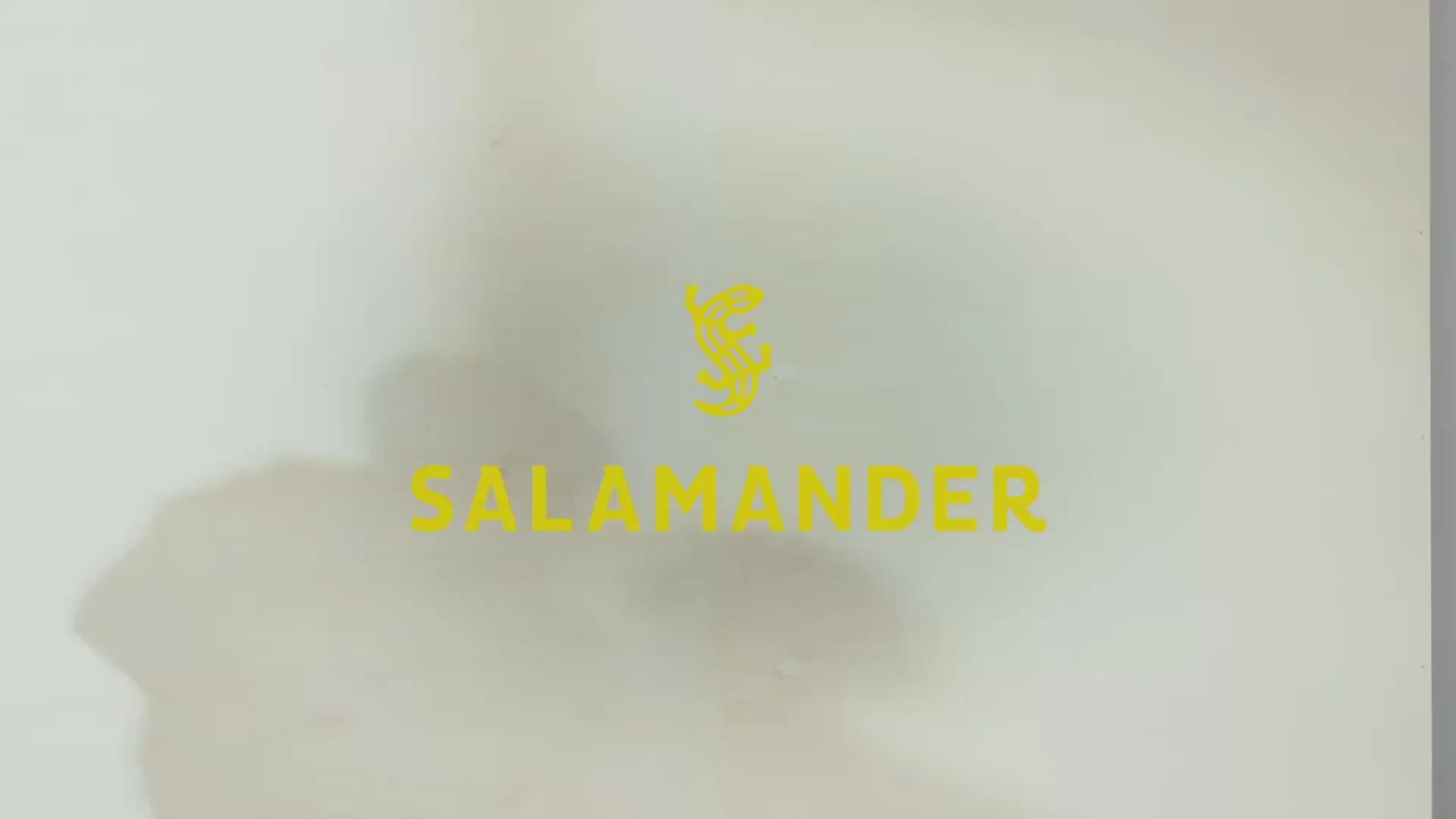 Stilvolle Schritte, höchster Komfort