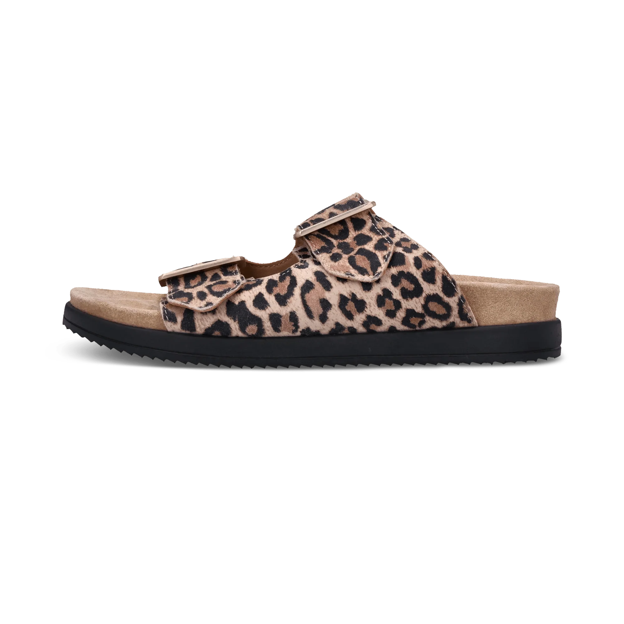 Neuheiten für Damen